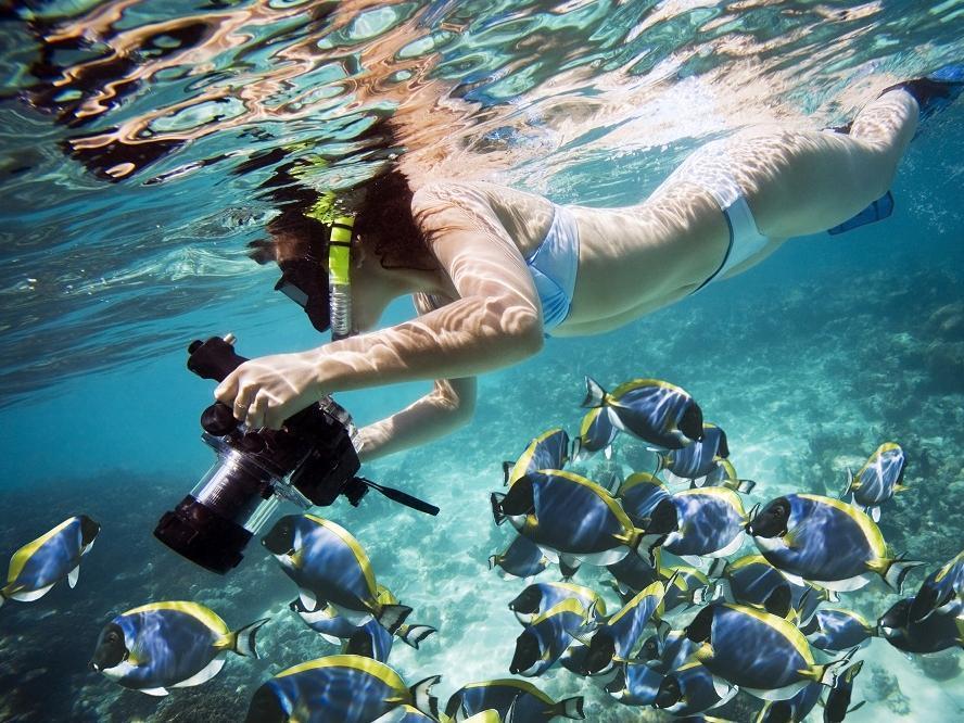Naqalia Lodge Wayasewa Island Екстериор снимка
